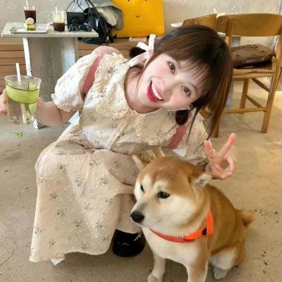 没自由